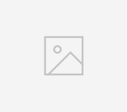 Eleven Casual Signature